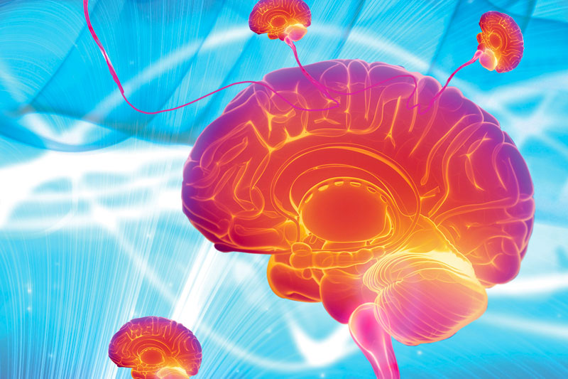 IV Jornada da Especialização em Neurociências